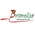 Costa Rican Florist